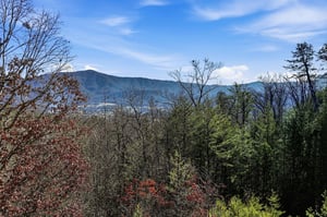 Stunning mountain views frame this peaceful valley setting with rolling hills and lush forest surroundings.