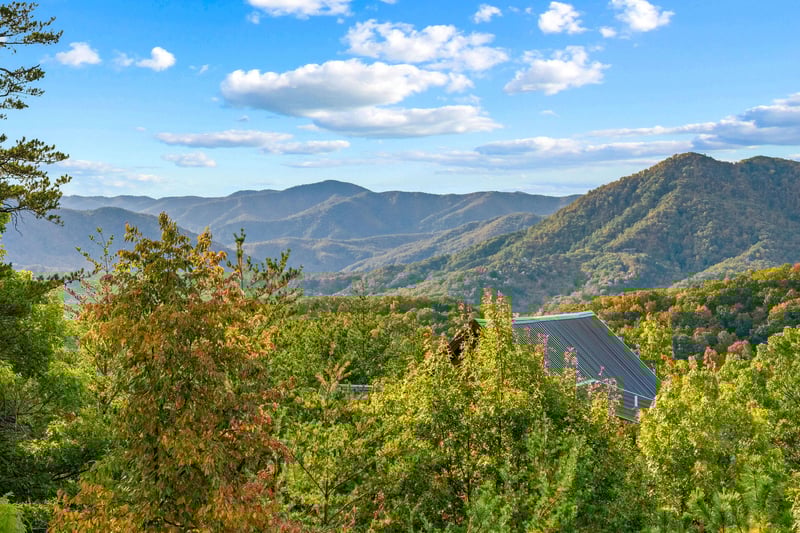 1greatmountainviewfall8