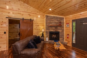 Cozy Fireplace and Couch