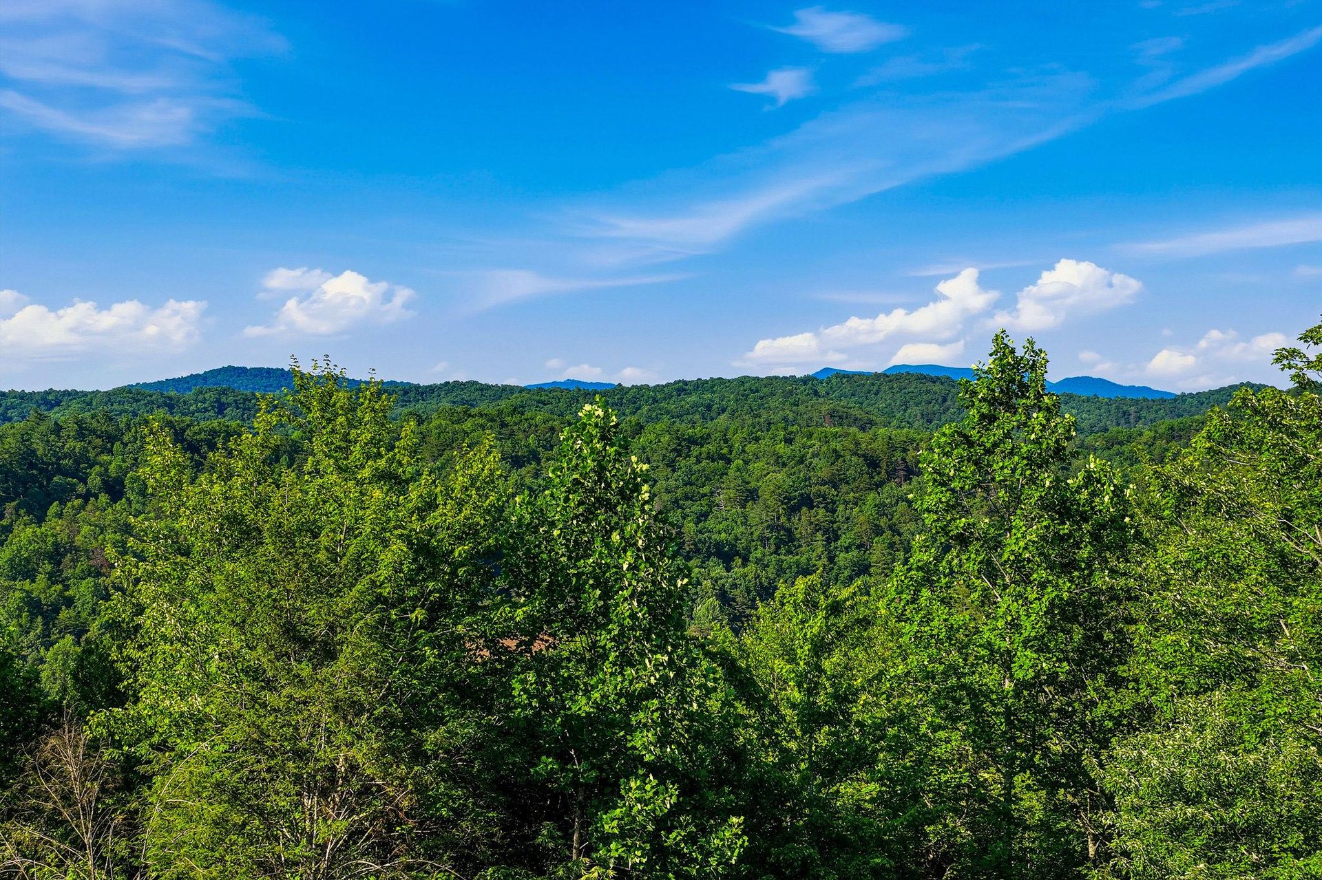 Sweeping panorama of lush forest and rolling mountain peaks beneath a brilliant blue sky—an idyllic natural setting surrounding the property.
