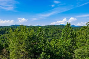Sweeping panorama of lush forest and rolling mountain peaks beneath a brilliant blue sky—an idyllic natural setting surrounding the property.