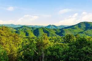 Stunning mountain landscape surrounds the property, with lush forested peaks stretching across the horizon under a bright summer sky.