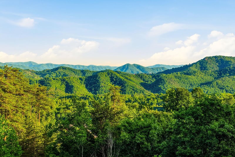 Stunning mountain landscape surrounds the property, with lush forested peaks stretching across the horizon under a bright summer sky.