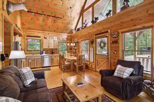 Living room sofa bed and chair by front door