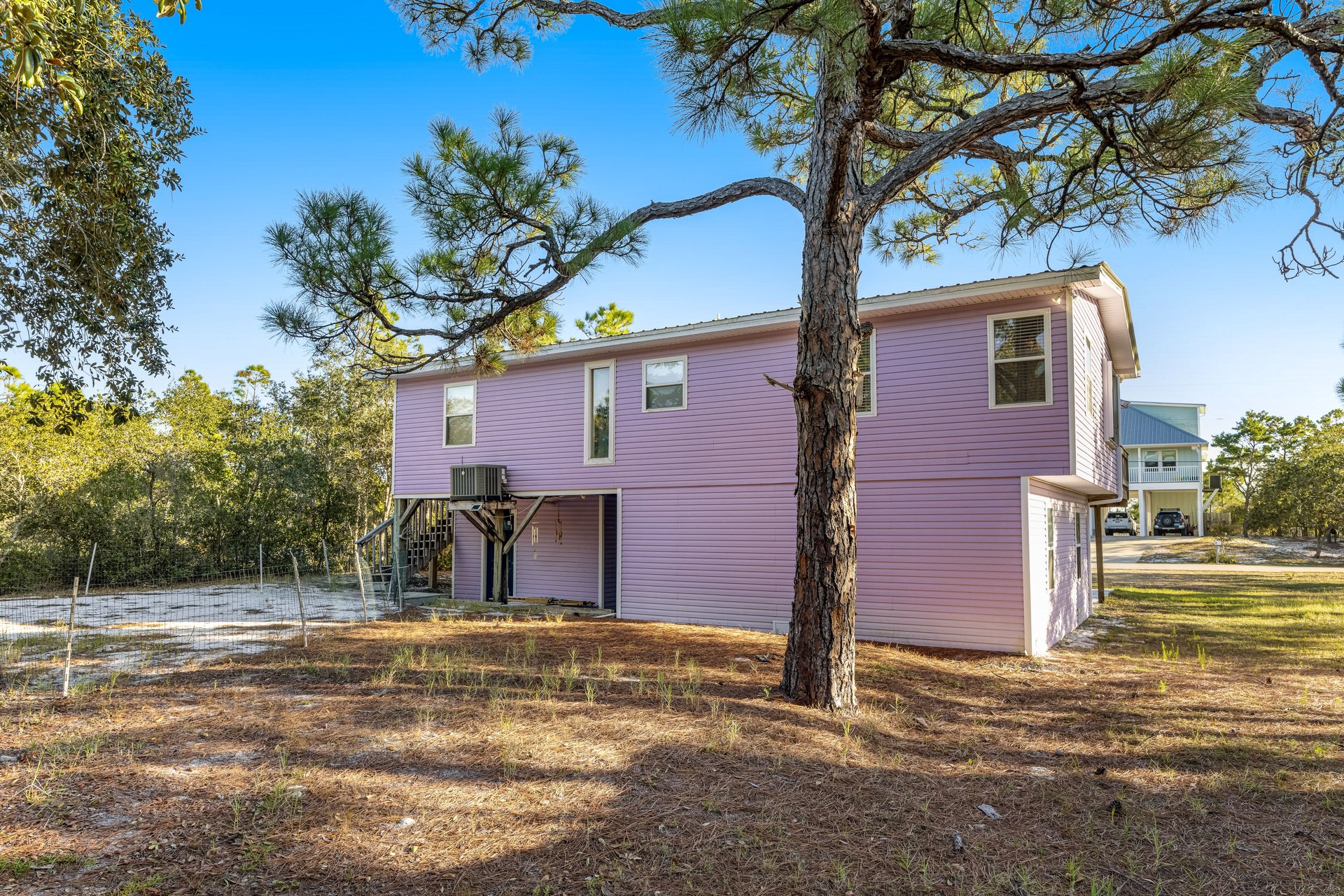 The Purple Palmetto 28