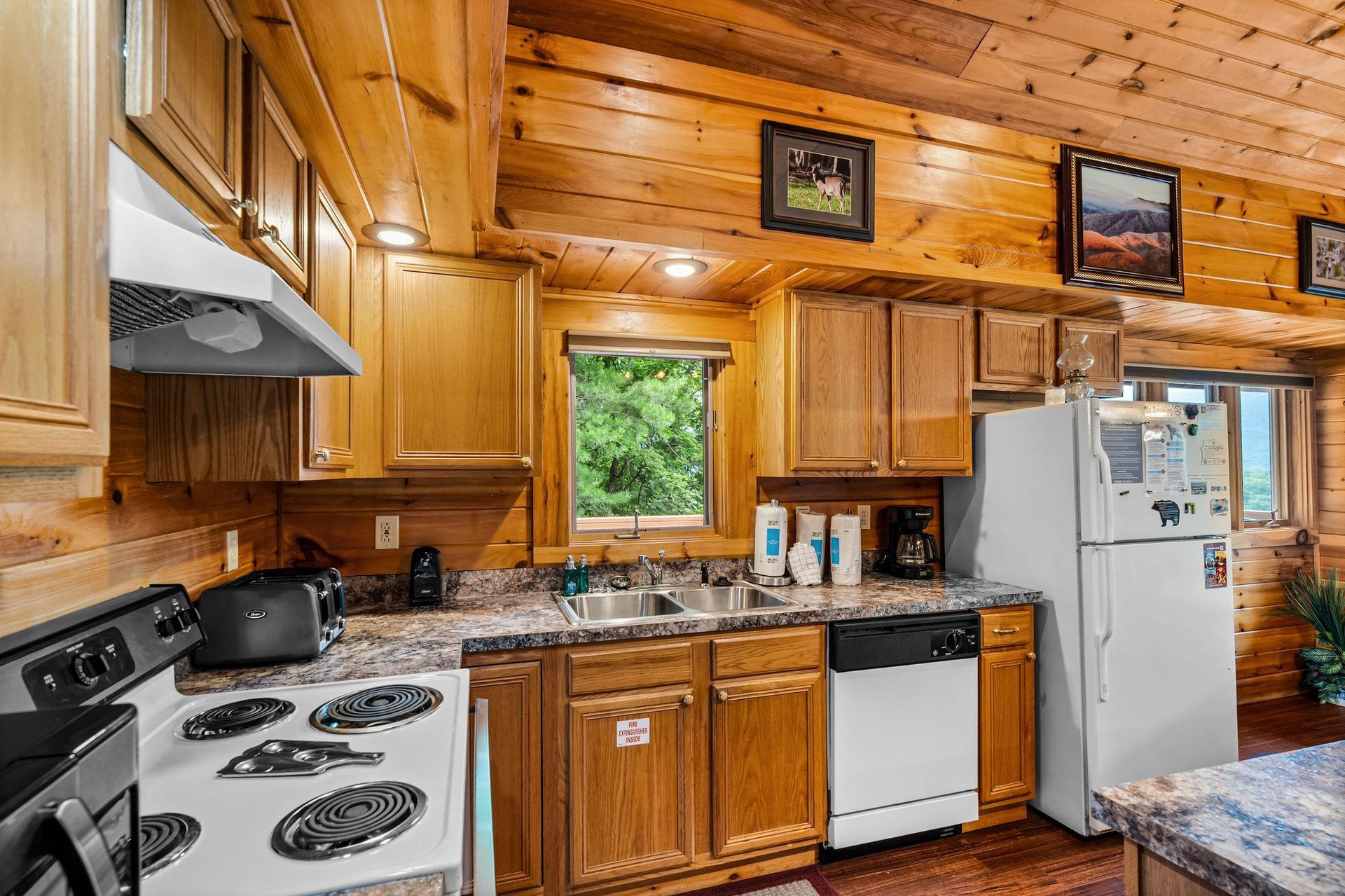 dancinginthemoonlight9