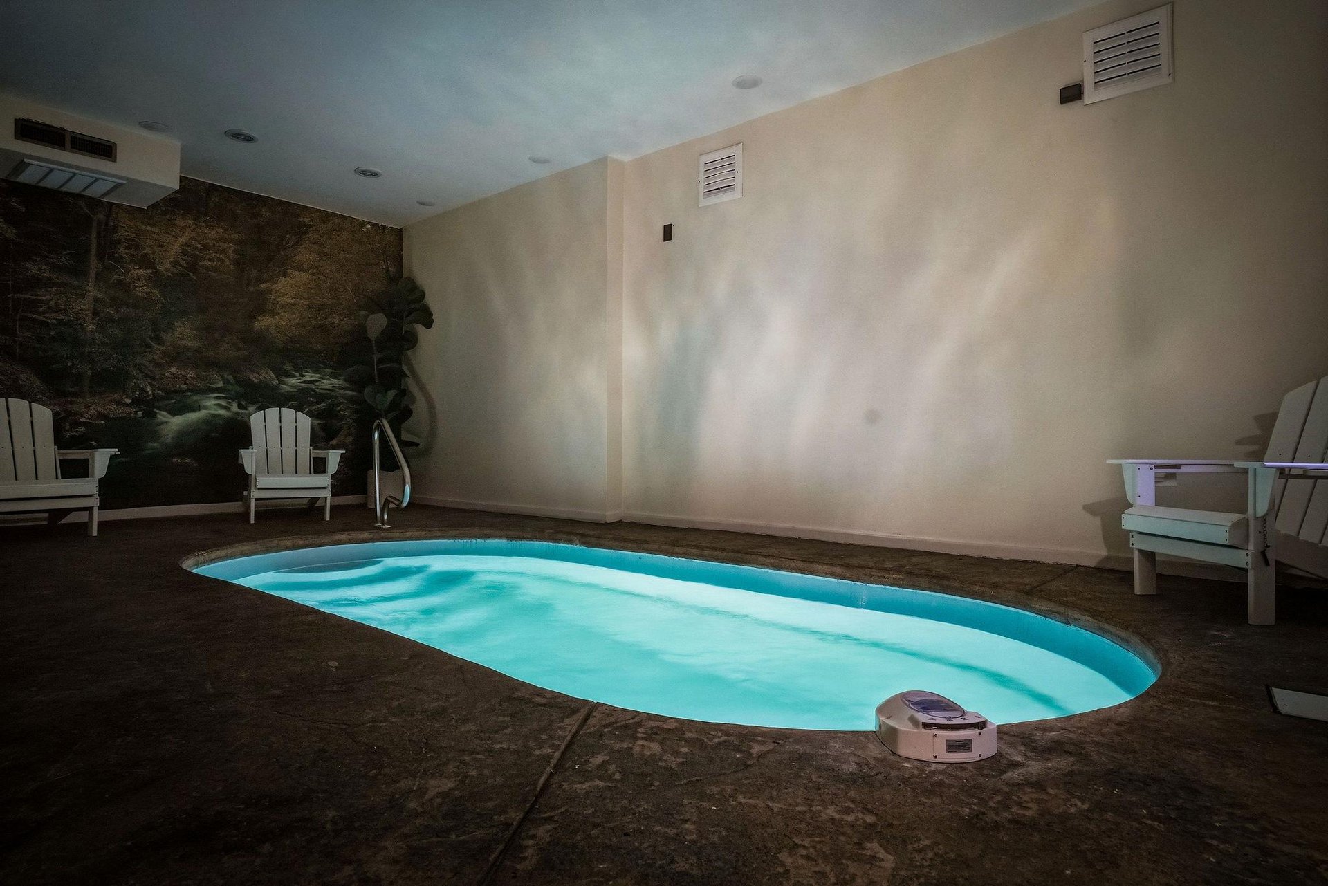 Your private indoor pool awaits, complete with lounge chairs and serene forest mural—perfect for unwinding after a day of adventure.