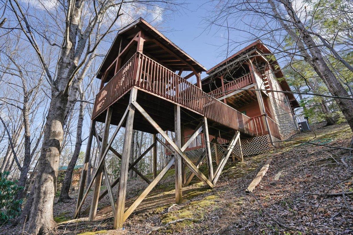 66Back Elevation
