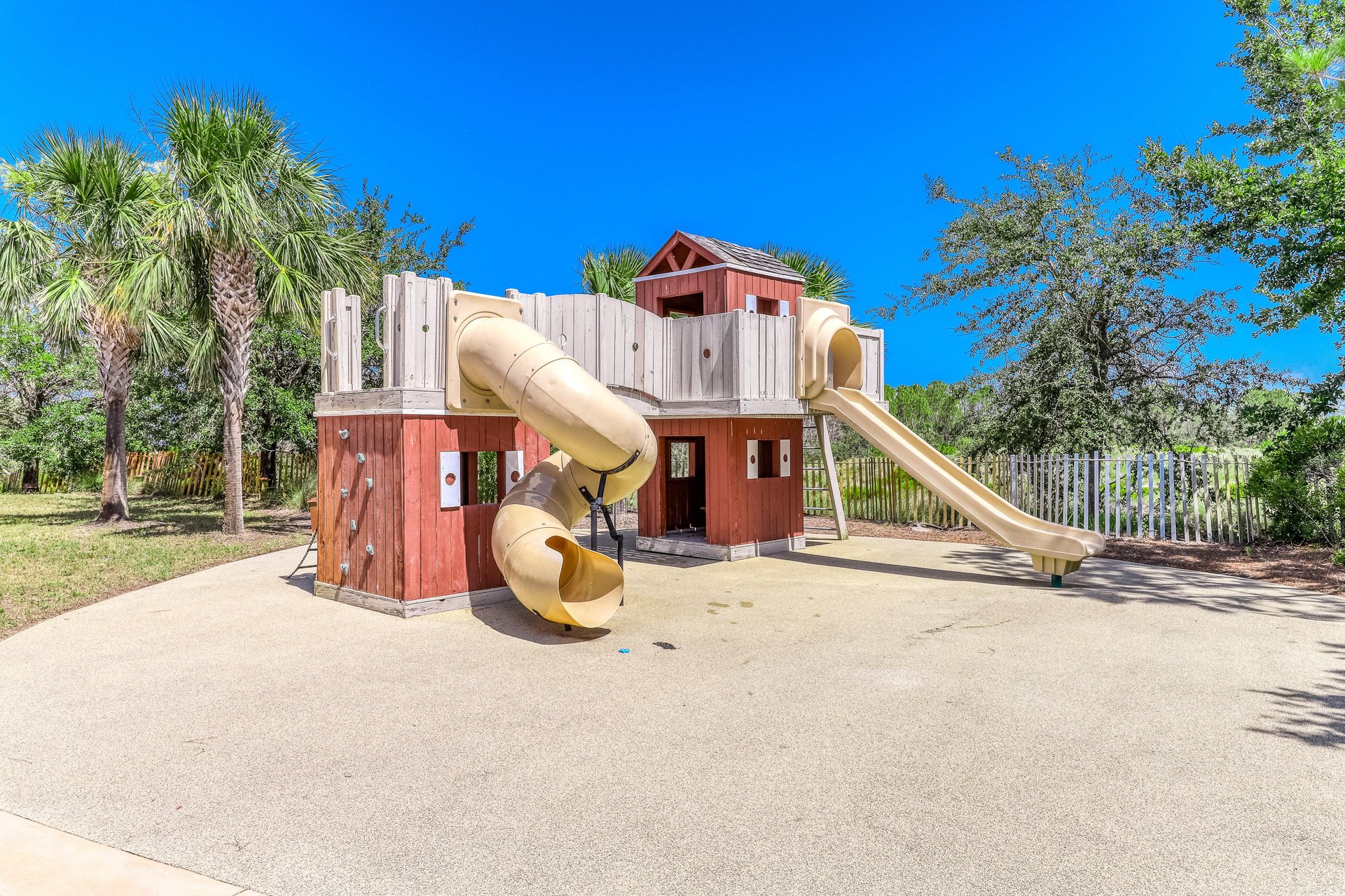 5158779.jpg