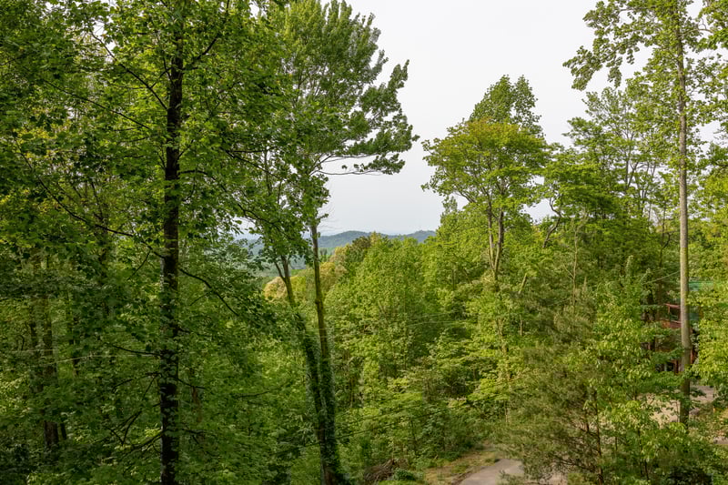 Mountain Ridge View from Dukes Den