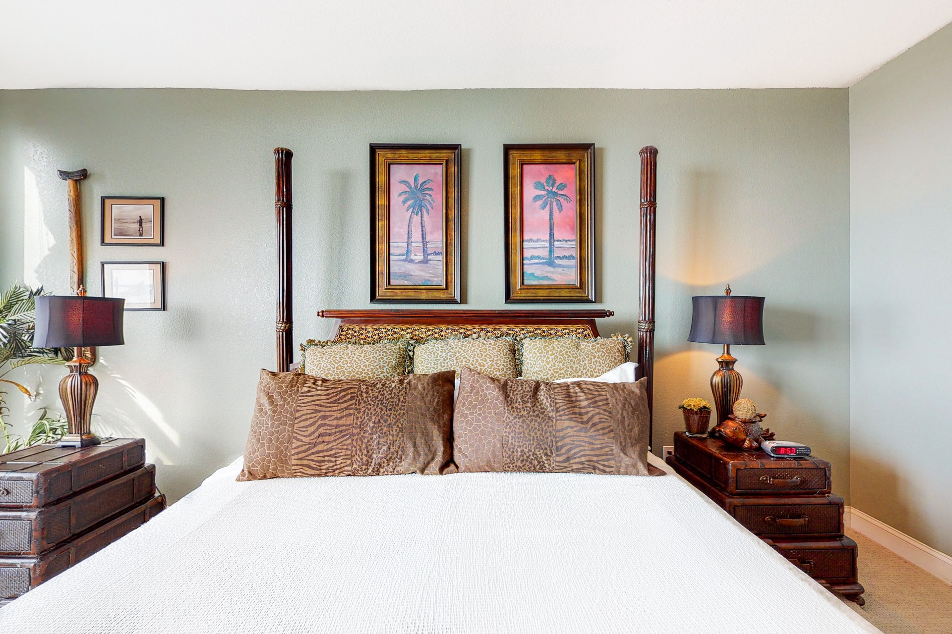 Emerald Dolphin 0620 9