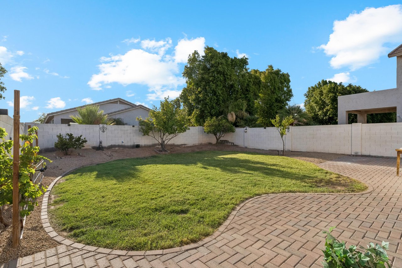 Backyard Area