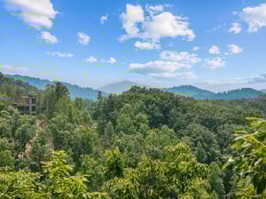 View from View and Me cabin