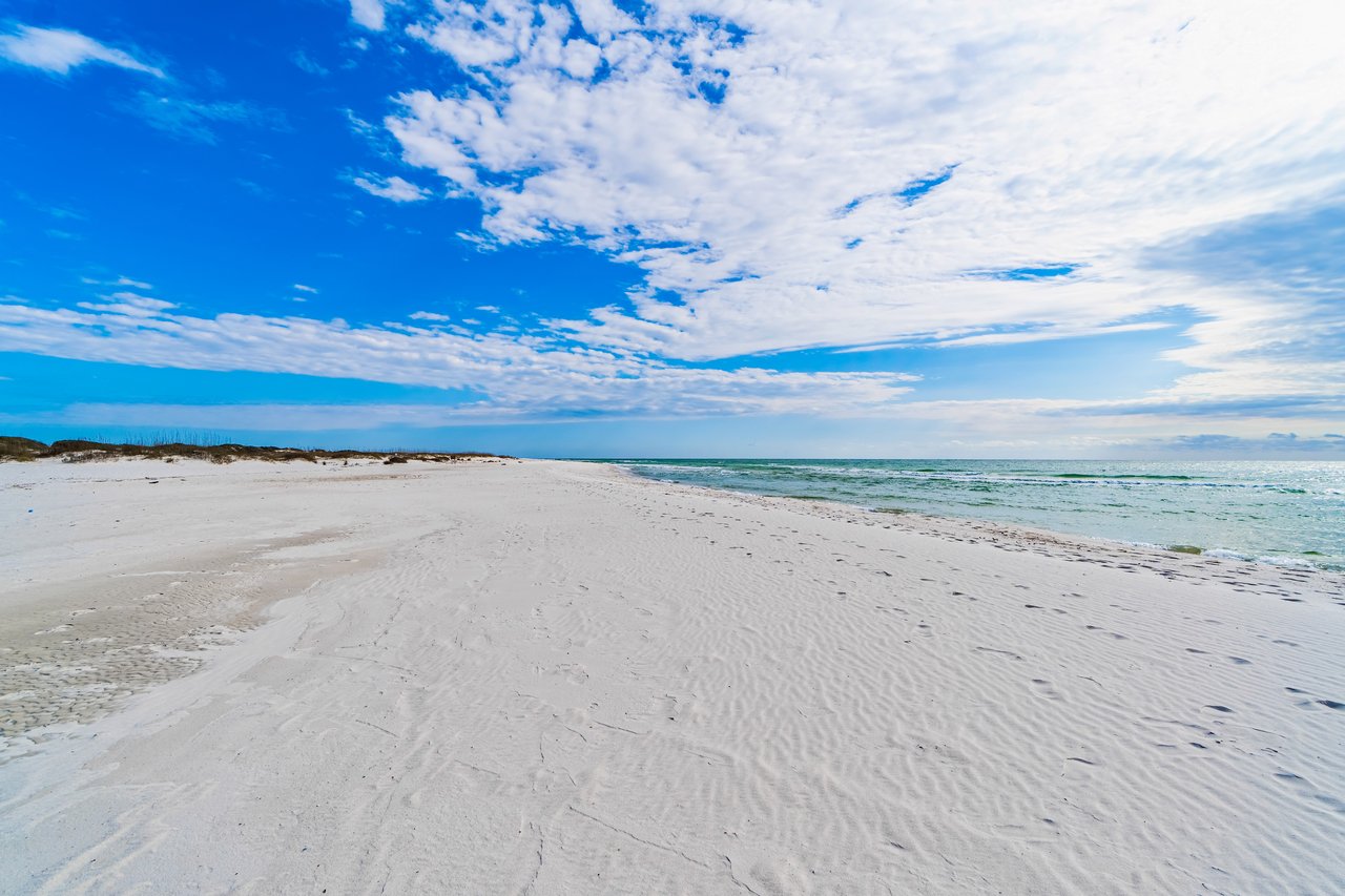 Mandevilla at Martinique 5