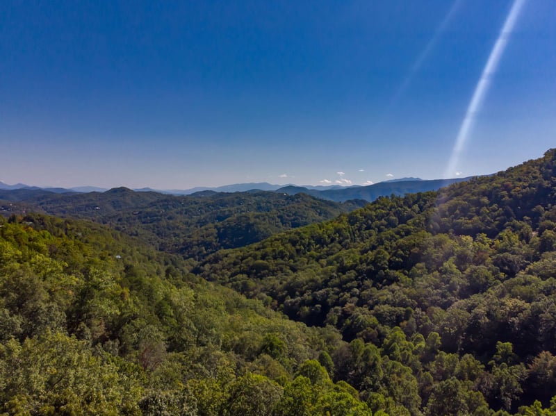 View from Black Bears  Biscuits Lodge