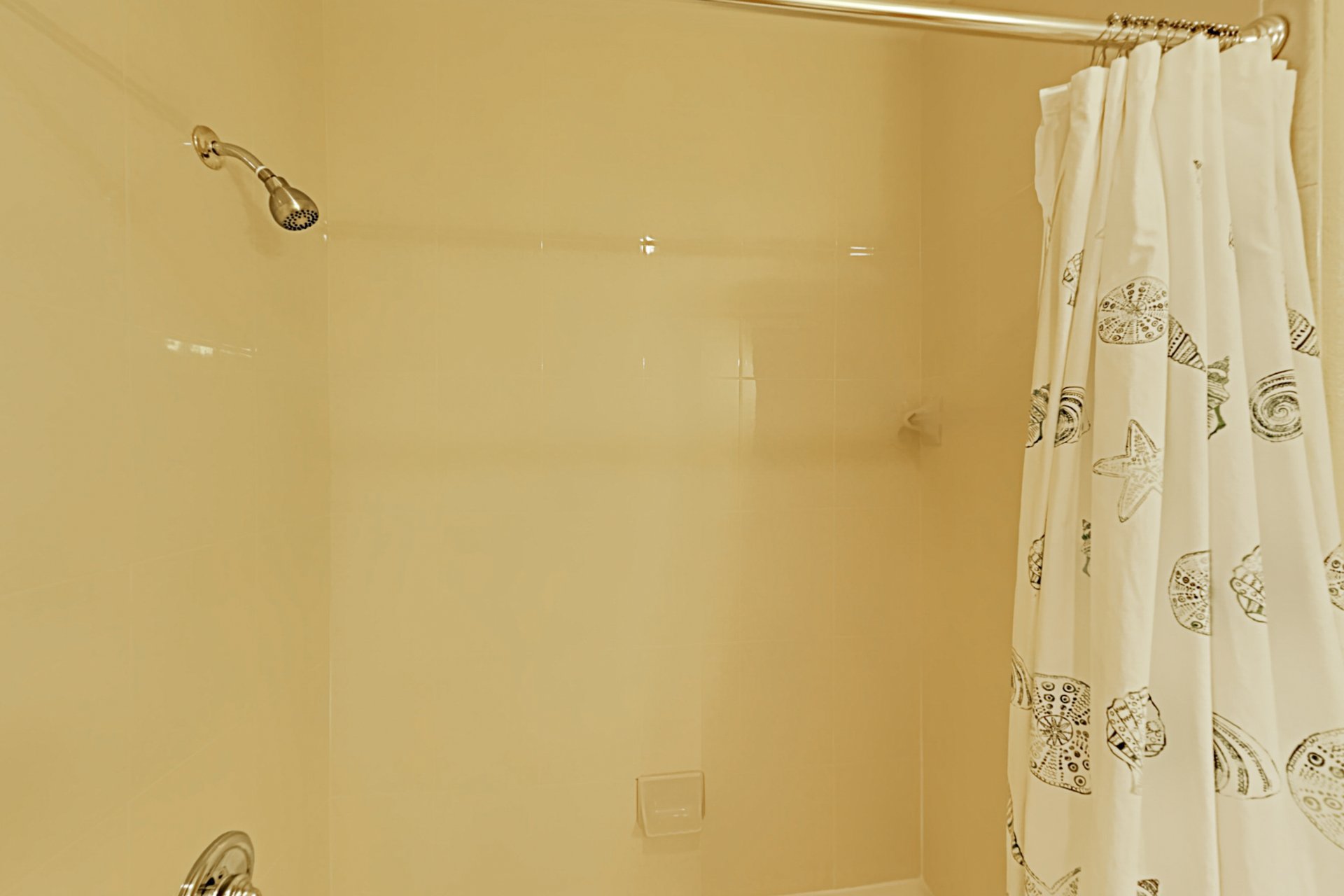 Sunshine amp Beachin 3 23