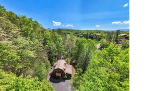 Aerial view showcasing the property nestled among lush green trees in a serene forested neighborhood with mountain views in the distance.