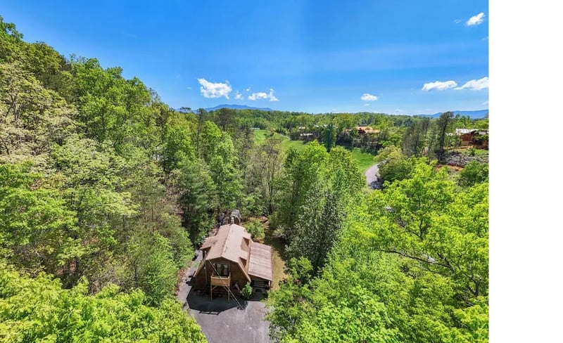 Aerial view showcasing the property nestled among lush green trees in a serene forested neighborhood with mountain views in the distance.