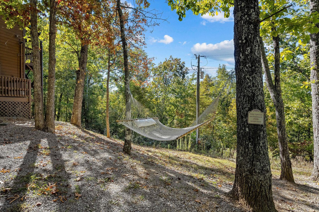 Hammock