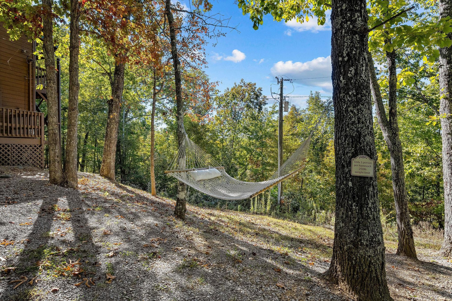 Hammock