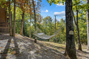Hammock