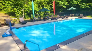 Sparkling outdoor pool surrounded by lush greenery, shaded lounge chairs, and vibrant umbrellas—perfect for sunny days and refreshing dips in a peaceful natural setting.