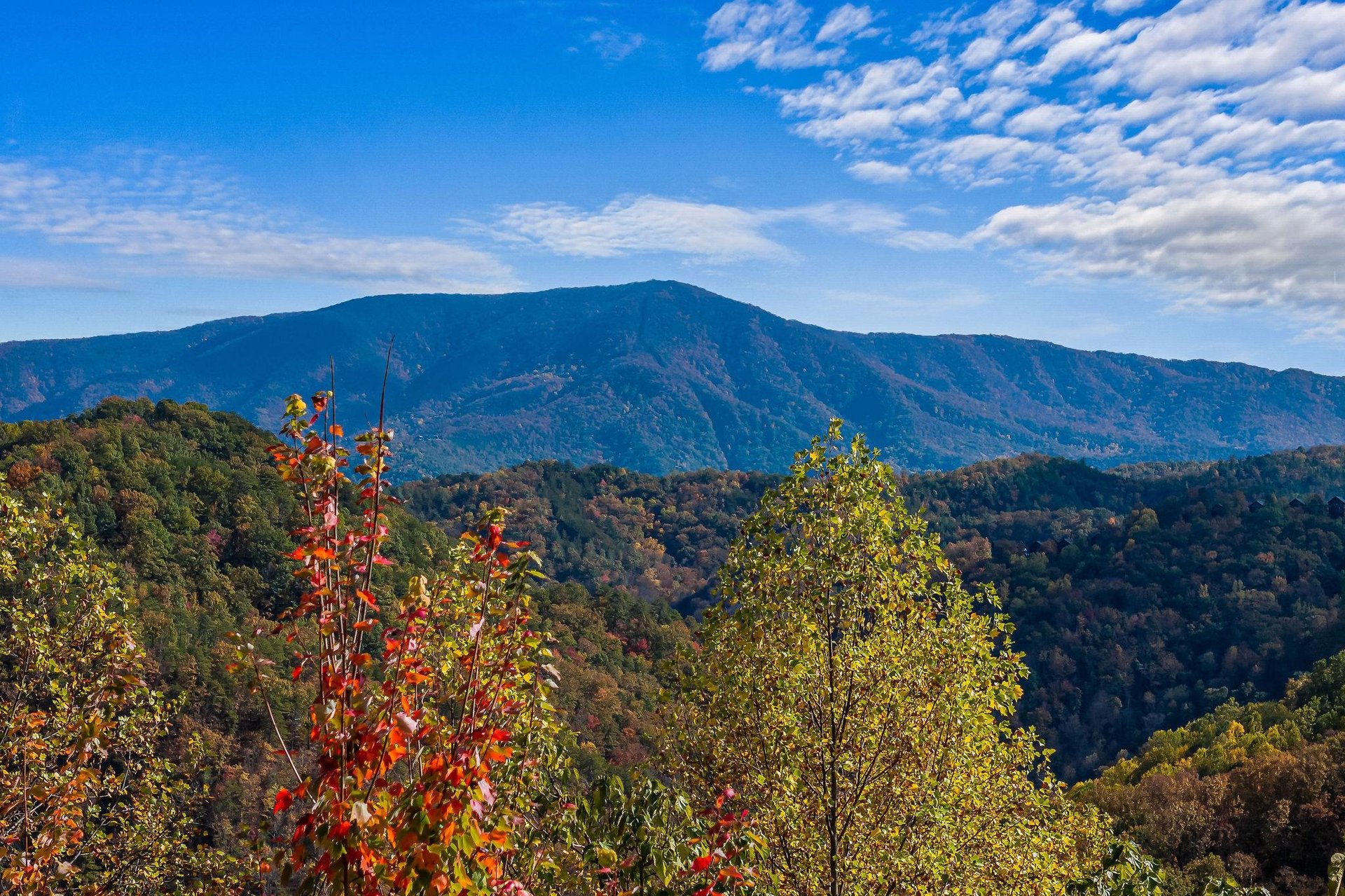 absolutelybreathtaking31