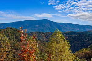 absolutelybreathtaking31