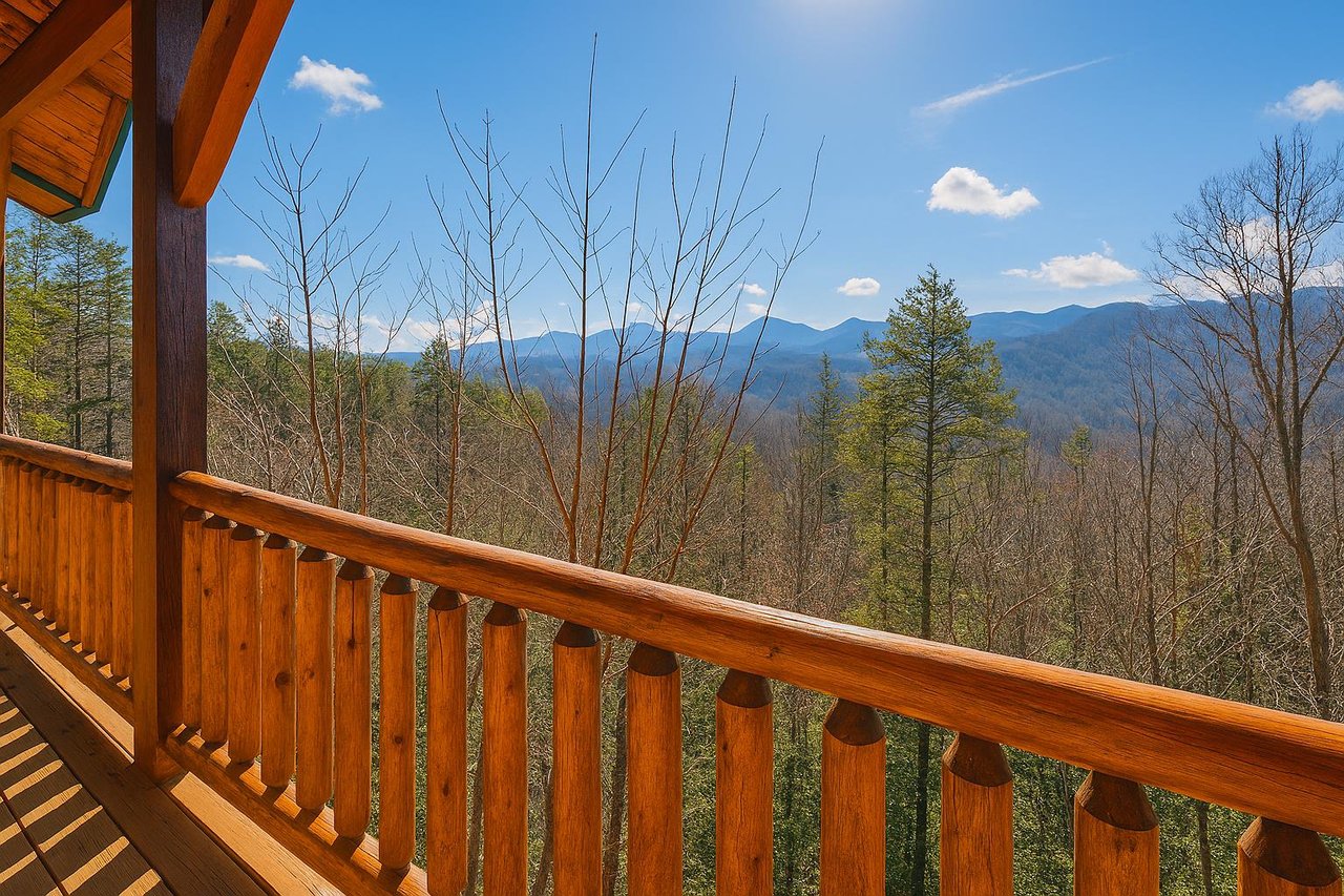 Deck View in Winter Early Spring