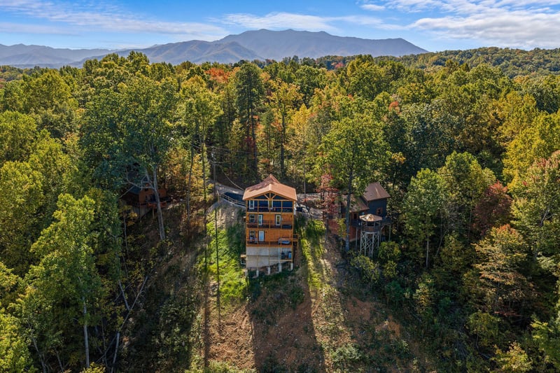 otterbeswimmingfall13