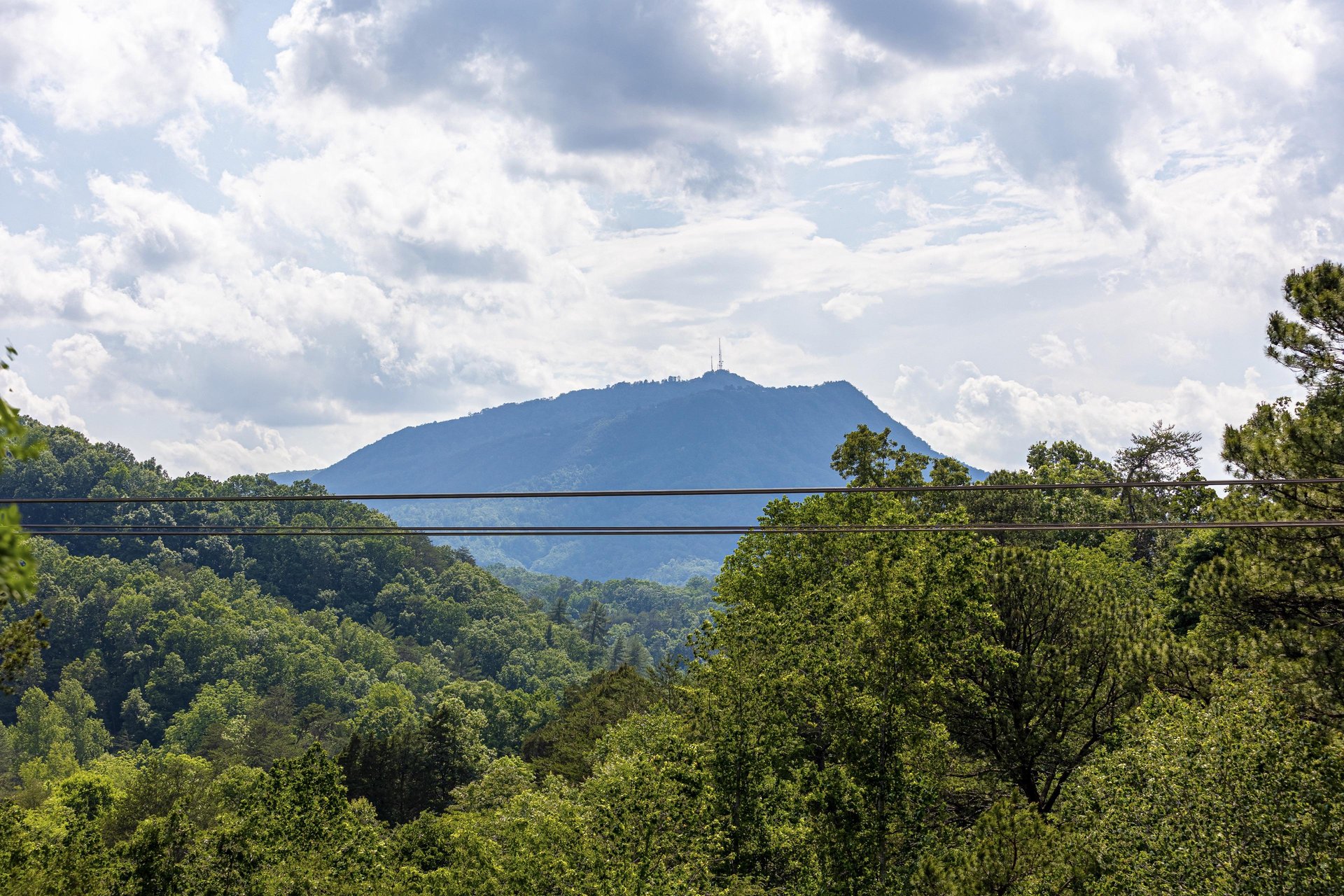 View from Cabbyshack cabin