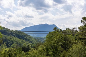 View from Cabbyshack cabin