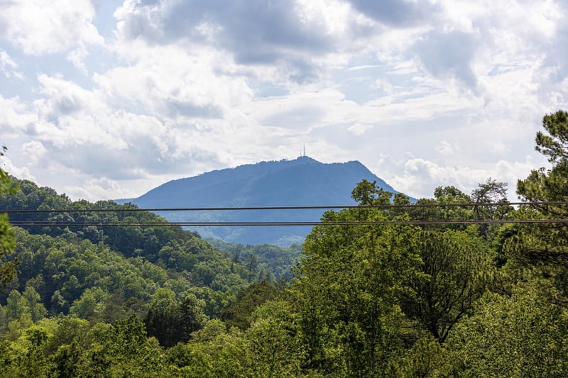 View from Cabbyshack cabin