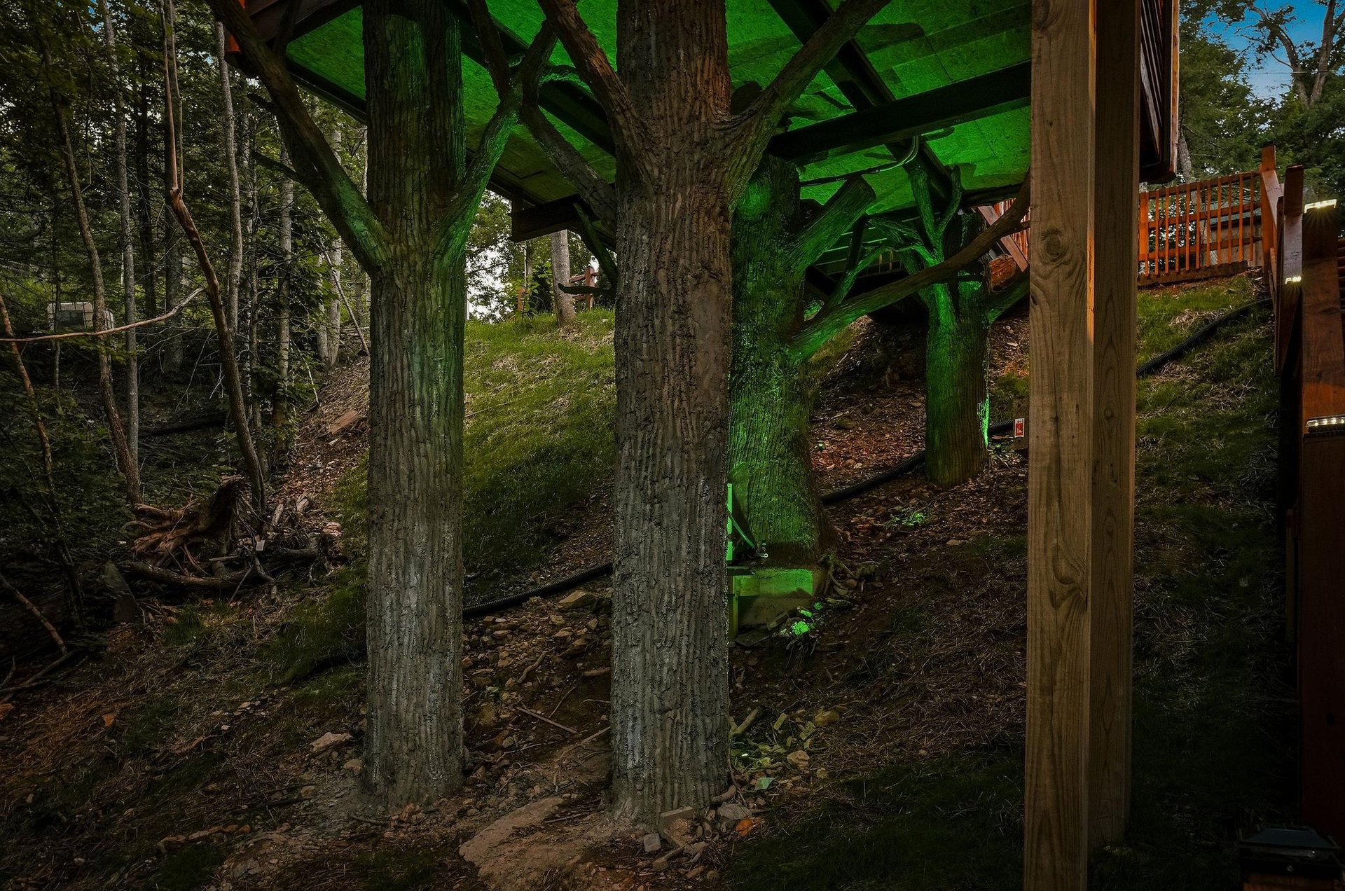 A unique structure integrates naturally into the wooded landscape, blending modern construction with mature trees and hillside terrain—a distinctive architectural feature of the surrounding area.