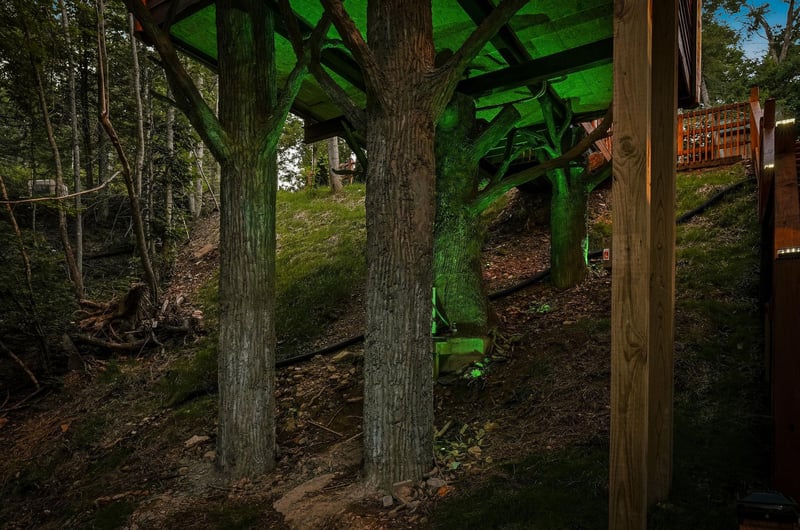 A unique structure integrates naturally into the wooded landscape, blending modern construction with mature trees and hillside terrain—a distinctive architectural feature of the surrounding area.