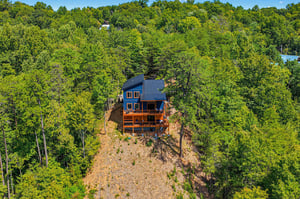 This striking blue cabin is nestled in lush forest, offering a secluded woodland retreat with expansive outdoor decks for relaxing and taking in the natural surroundings.