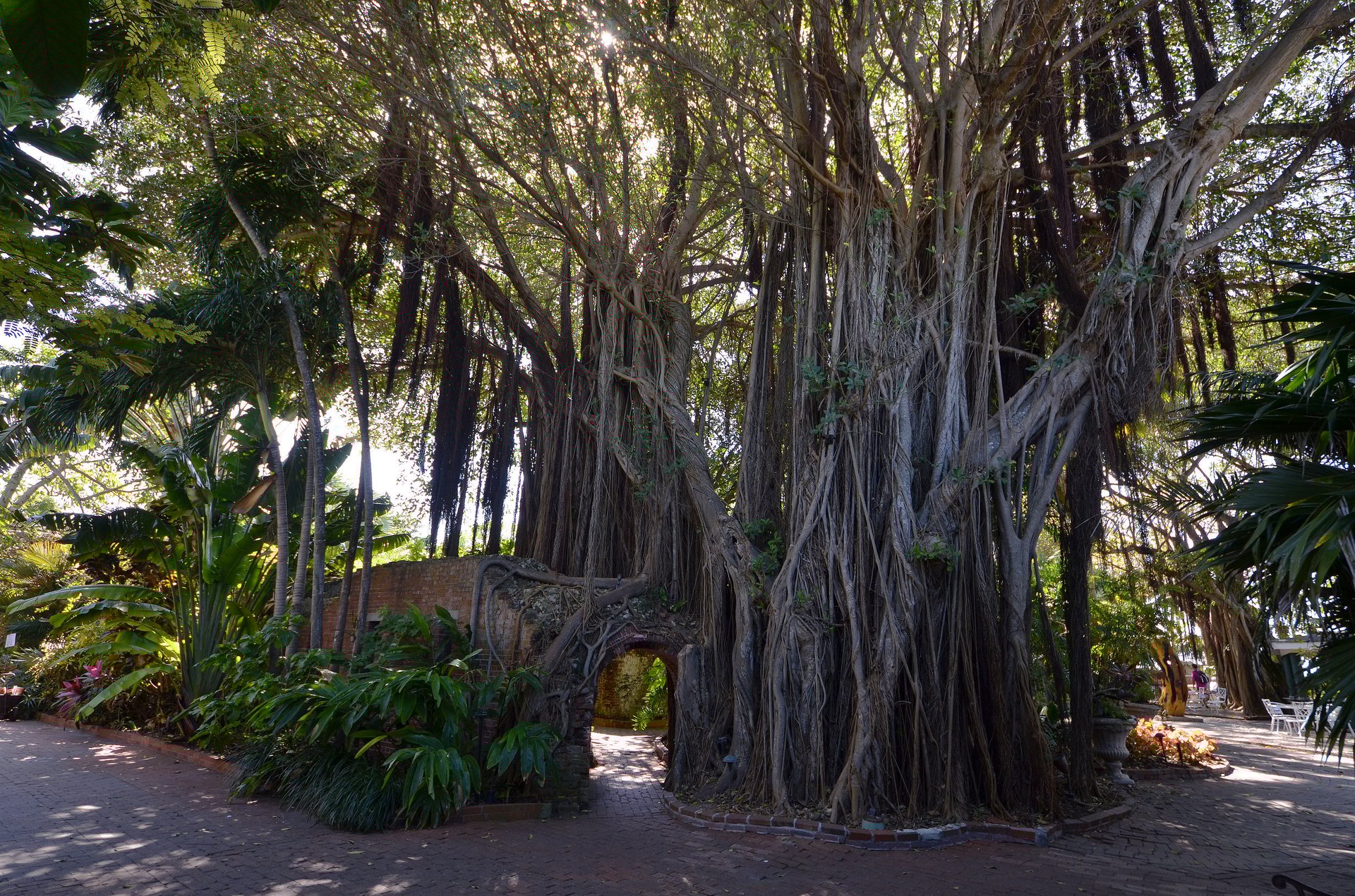 Truman  Duval  Studio A 26