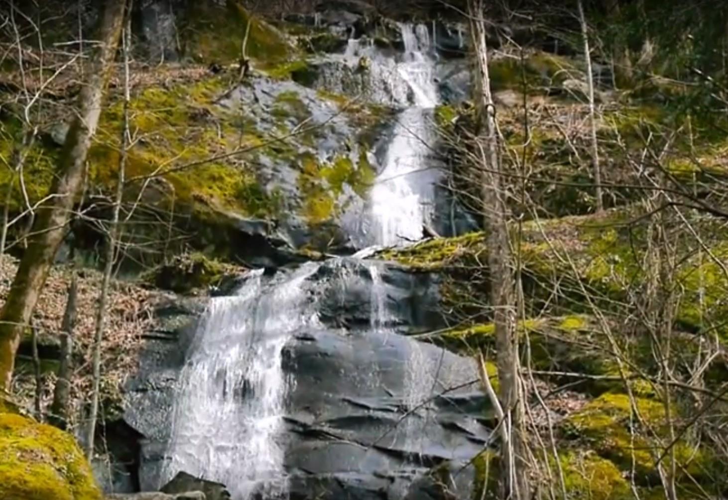 Fern Branch Falls and Porters Creek Trail Great Trail, Great Waterfall