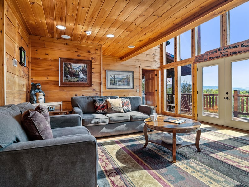 Living room with sleeper sofa and seating