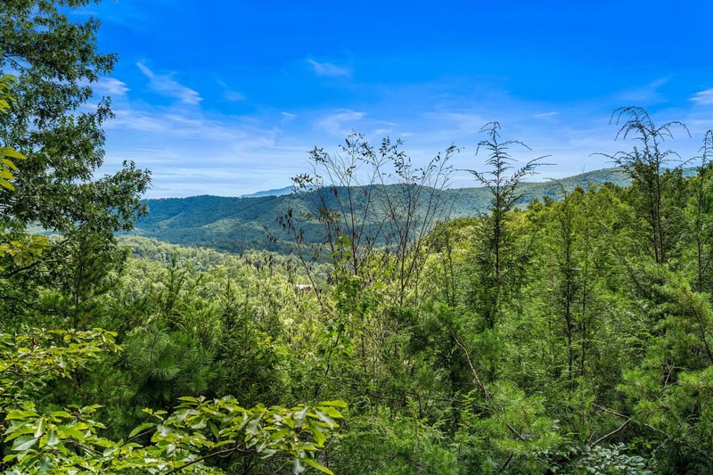 views at Alpine Romance