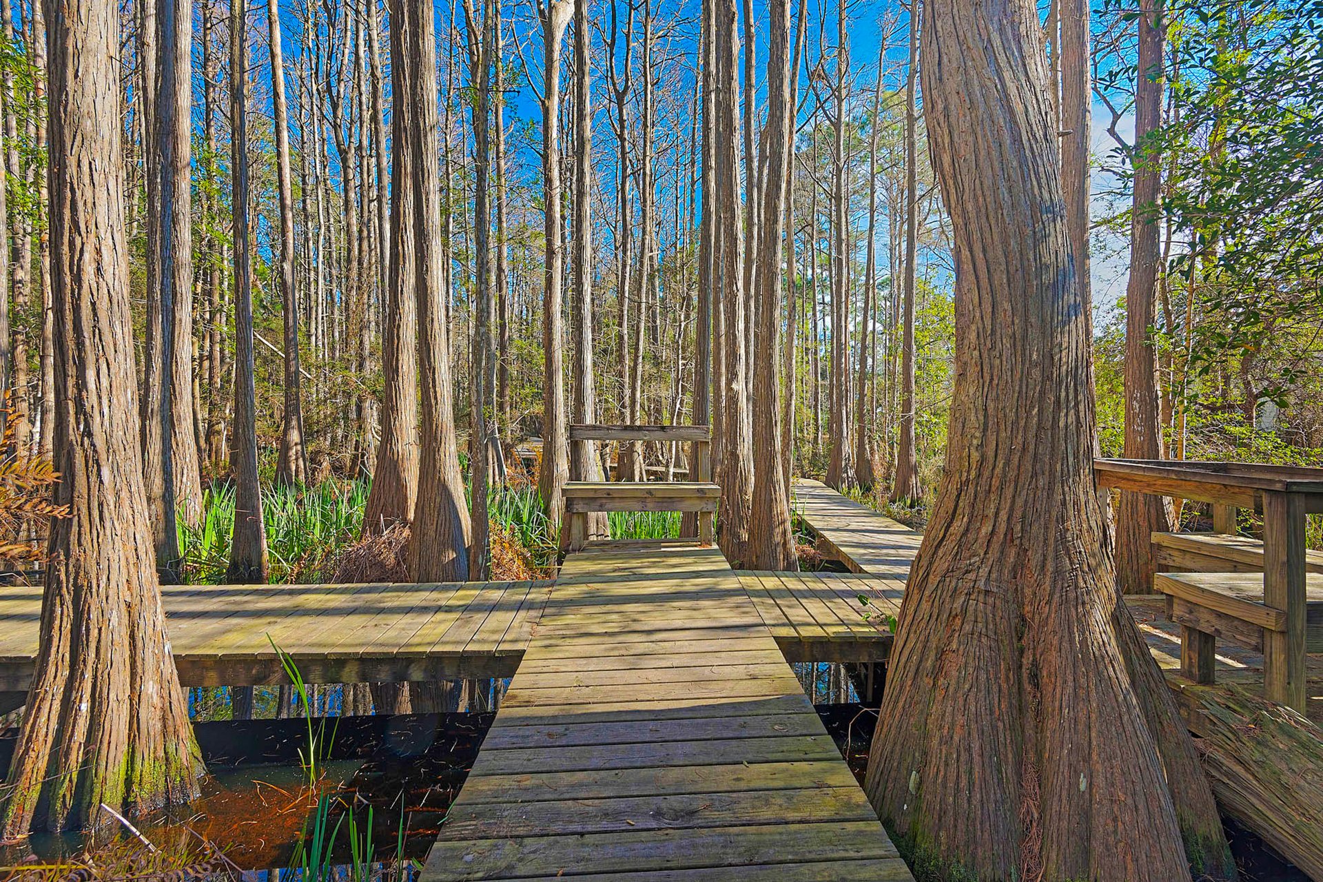 Cassine Village Escape 44