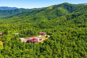 Nestled amid lush forested mountains, this property offers peaceful seclusion and natural beauty in a scenic mountain setting with convenient parking and easy access.