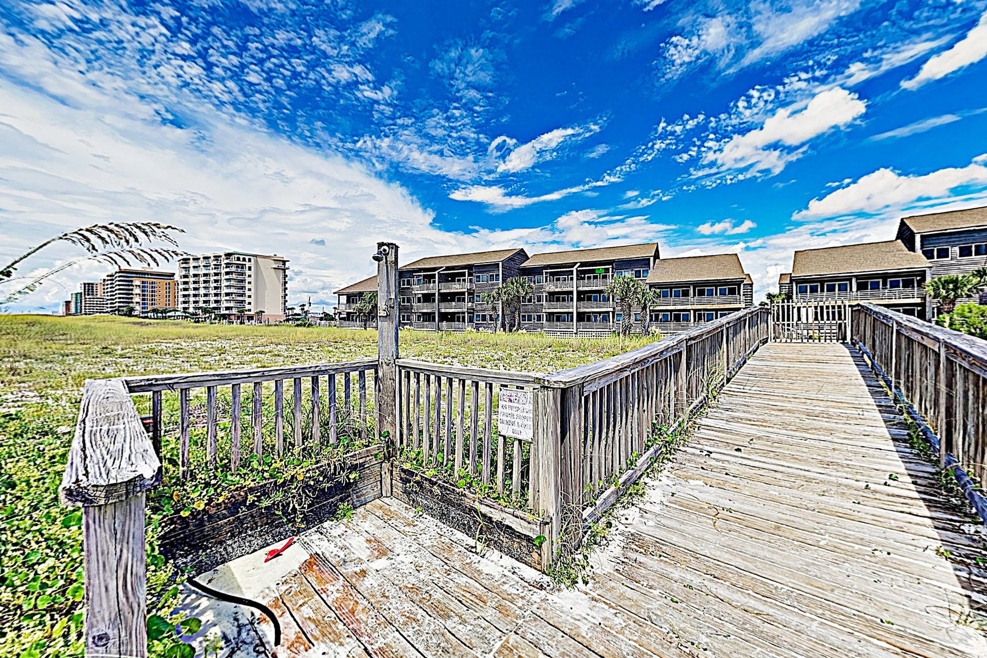 Needle Rush Point A23 19