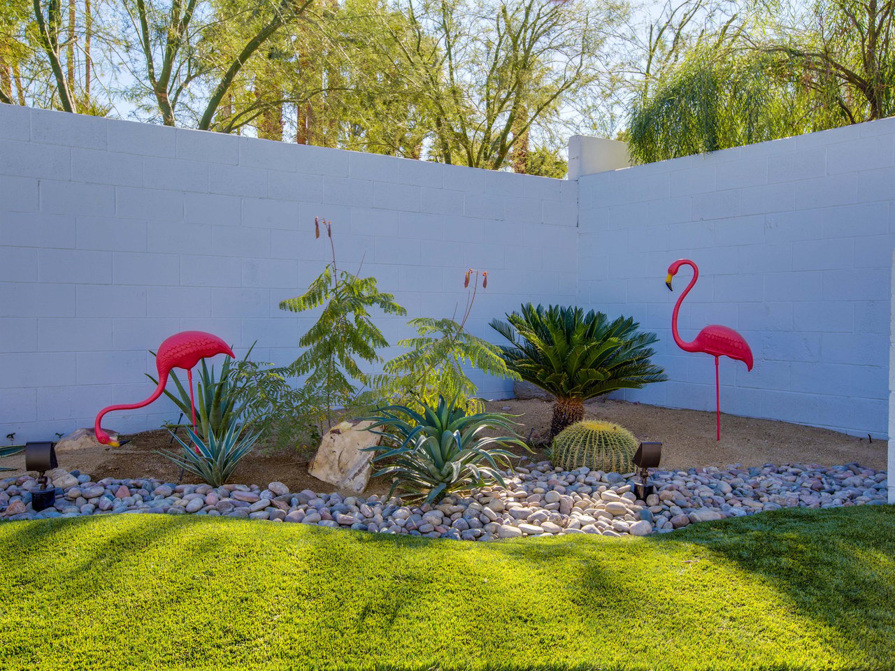 Fun with Flamingoes