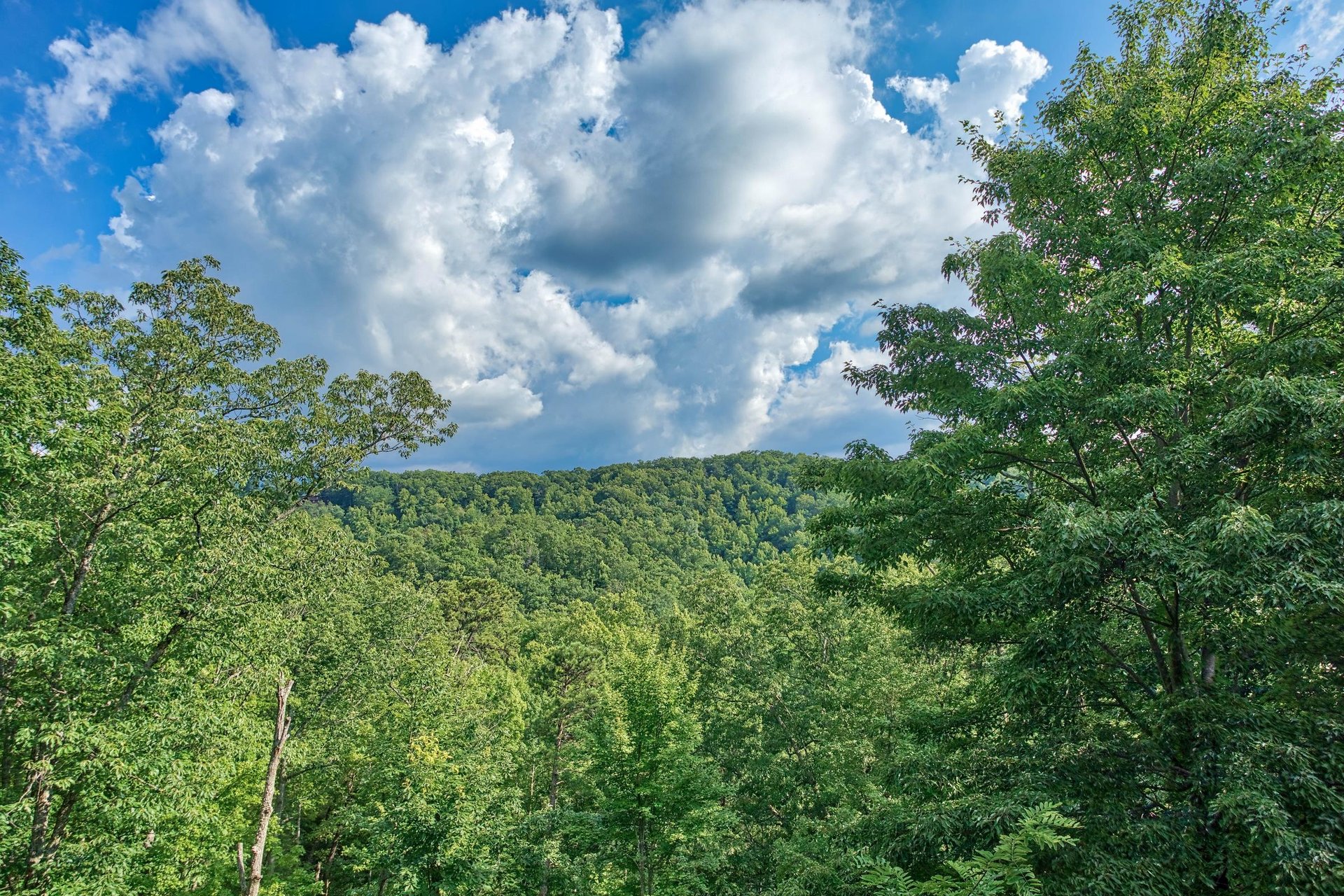 View from Wonders In The Sky