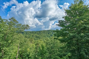 View from Wonders In The Sky