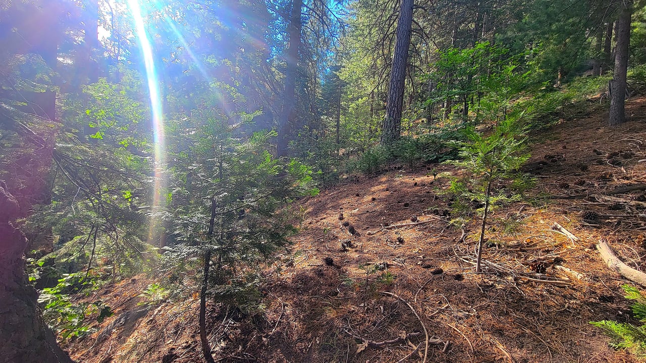 Width1280
