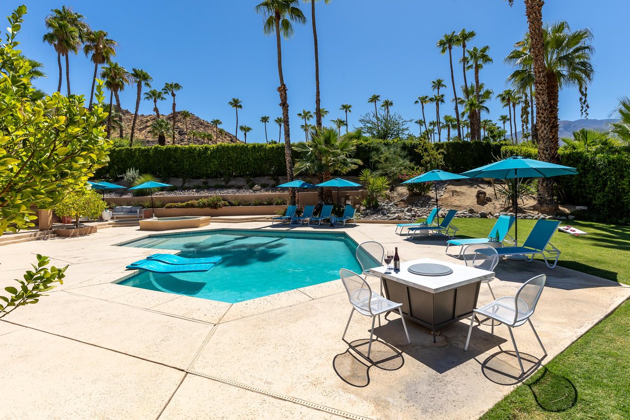 Palm tree studded landscape