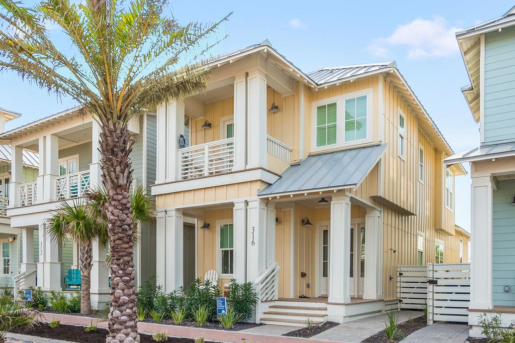 セントポーリア マウナロア Yahoo!オークション - セントポーリア／ マウナロア 初開花株