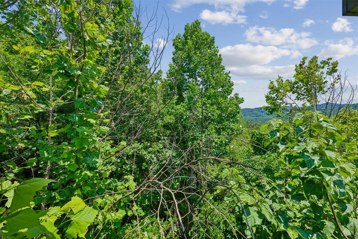 091View